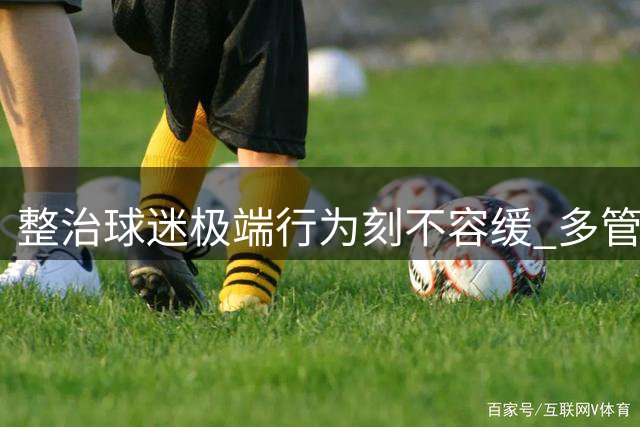 整治球迷极端行为刻不容缓 多管齐下规范赛场秩序